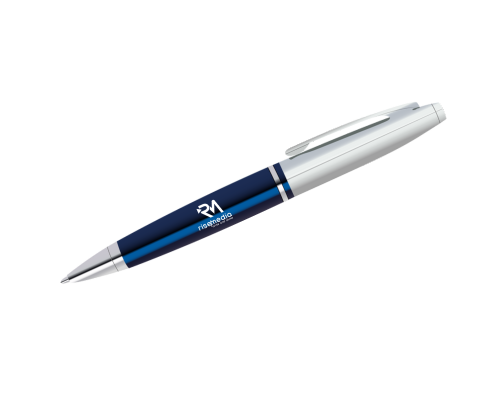 Professional Logo Design